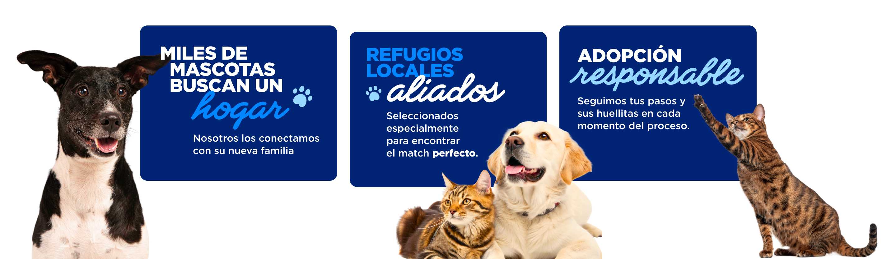 Pasos